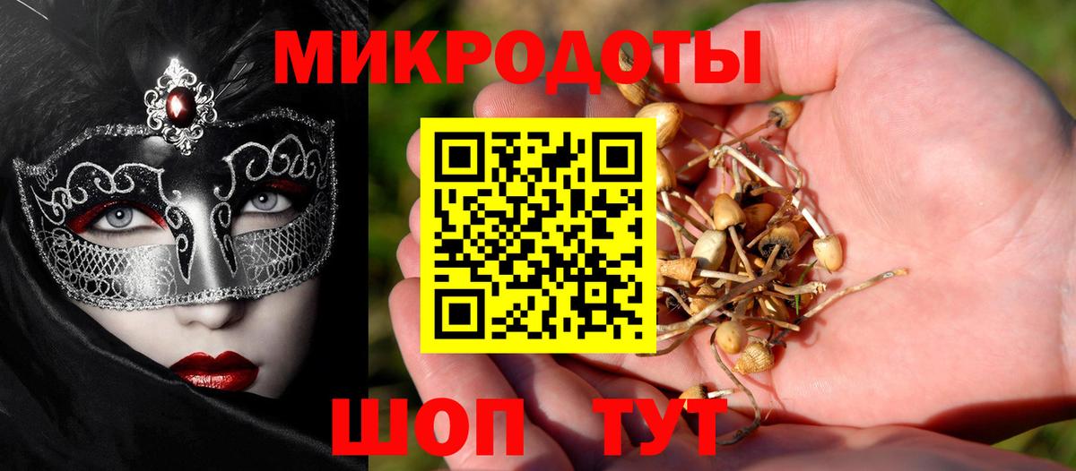 Донской  Псилоцибиновые грибы мухоморы  Вход с VPN 